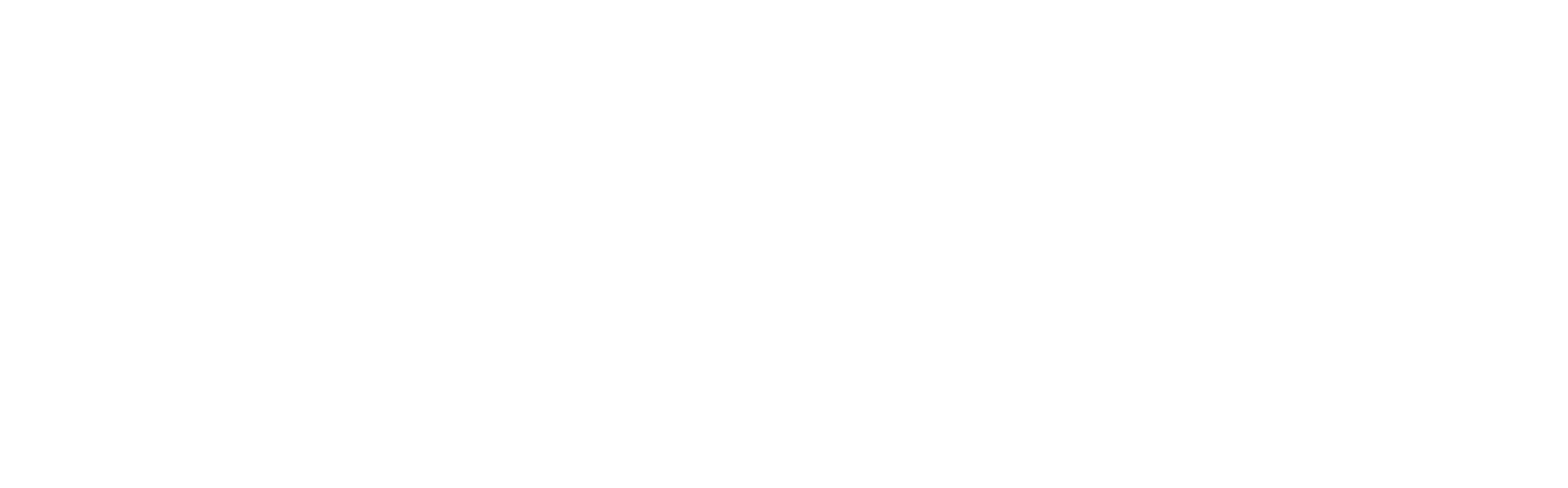 Author Writer Script Logo Eliana Friesen Unterschrift weiß 3